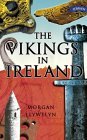 The Vikings In Ireland