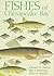 Fishes of Chesapeake Bay