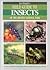 Field Guide to Insects of Kruger National Park