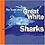 The Truth About Great White Sharks (Truth About, TRUT)