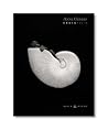 Anne Geddes Photofolio: Black & White
