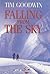 Falling from the Sky by Tim Goodwin