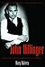 John Dillinger by Dary Matera