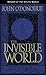 The Invisible World: On the Beauty of Prayer and Liberation from the Prisons in Which We Choose to Live (Wisdom from the Celtic World)