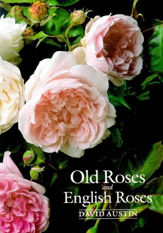 Old Roses and English Roses (Hardcover)