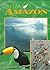 The Amazon