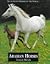 Arabian Horses (Magnificent Horses of the World)
