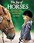 The Joy of Horses : A Beginner's Guide to Safe and Responsible Horsemanship