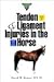 Concise Guide To Tendon and Ligament Injuries in the Horse (Howell Equestrian Library)