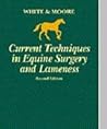 Current Techniques in Equine Surgery and Lameness