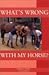 What's Wrong With My Horse? by Colin Vogel