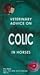 Veterinary Advice on Colic in Horses (Veterinary Advice Guide)