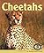 Cheetahs (Early Bird Nature Books)