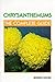 Chrysanthemums: The Complete Guide