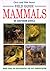 Field Guide to the Mammals of Southern Africa by Chris Stuart