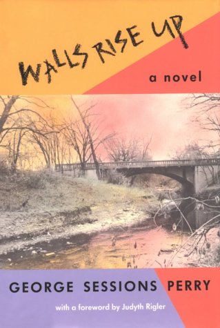 Walls Rise Up (Hardcover)