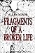 Fragments of a Broken Life