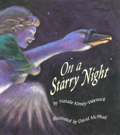 On a Starry Night (Hardcover)