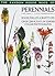 Perennials: Volume 2 Late P...