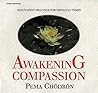 Awakening Compassion: Meditation Practice for Difficult Times