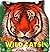 Wild Cats! (Know-It-All Series)