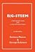 B/G-Steem - User Manual and CD-ROM: A Self-Esteem Scale with Locus of Control Items **** Rights Reverted - Refer To Authors **** (Lucky Duck Books)