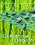Gardens of Illusion