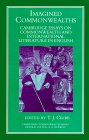 Imagined Commonwealths: Cambridge Essays on Commonwealth and International Literature in English (CAMBRIDGE COMMONWEALTH SERIES)