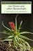 Air Plants and Other Bromel...