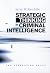 Strategic Thinking in Crimi...