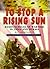 To Stop a Rising Sun: Reminiscences of Wartime in India and Burma