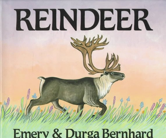 Reindeer (Library Binding)