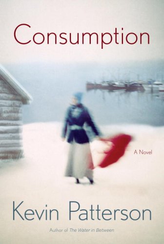 Consumption (Hardcover)