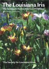 The Louisiana Iris: The Taming of a Native American Wildflower, 2nd Edition (Hardcover)