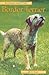 Pet Owner's Guide to the Border Terrier