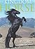 Kingdom of the Horse a Comprehensive Chr