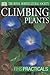 Climbing Plants