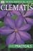 Clematis