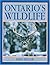 Ontario's Wildlife