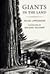 Giants in the Land by Diana Appelbaum