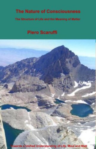 The Nature of Consciousness (Perfect Paperback)