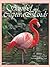 Sanibel & Captiva Islands by Willard Scott