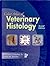 Color Atlas of Veterinary H...