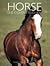 Horse: The Complete Guide