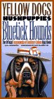 Yellow Dogs, Hushpuppies, and Bluetick Hounds: The Official Encyclopedia of Southern Culture Quiz Book (AAPG Memoir; 64)