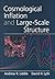Cosmological Inflation and Large-Scale Structure