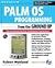 Palm OS Programming from the Ground Up: The Accelerated Track for Professional Programmers