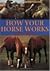 How Your Horse Works