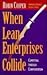 When Lean Enterprises Colli...