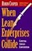 When Lean Enterprises Collide by Robin Cooper